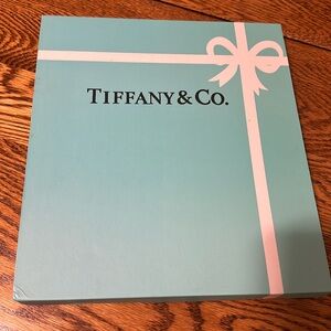 New in box.  Tiffany and Co chopsticks